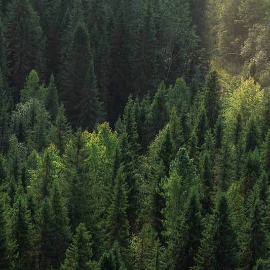 Sustainable